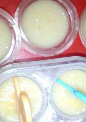 Foto resep Pudding dan es nangka