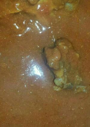 A picture of Tin tomatoes stew.