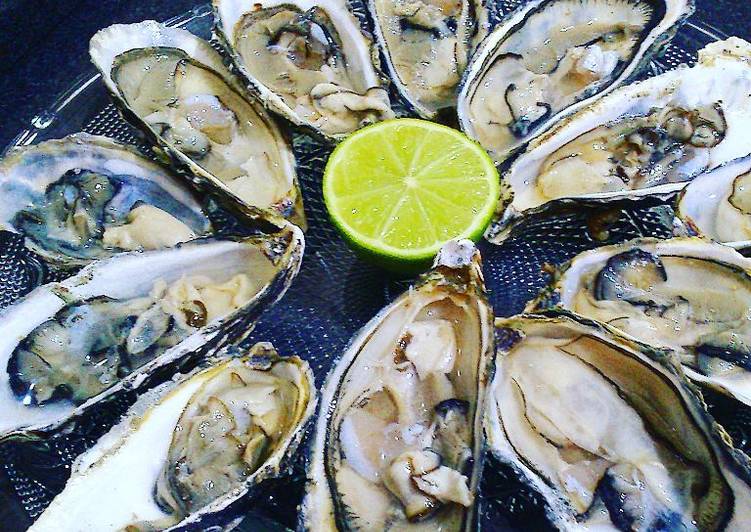 Ostras Frescas - Tudogosreceitas