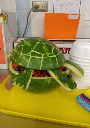A picture of Berry turtle.