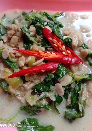 Foto resep Bobor Tesok (Tempe Busuk) Kemangi