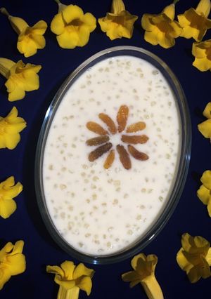 A picture of Sabudana Kheer.