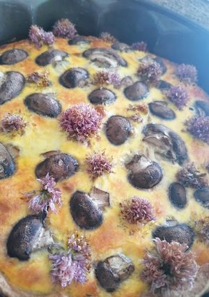 Une photo de Tarte salée champignons et fleur de ciboulette
