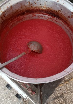 عکسی از دستور رب خانگی