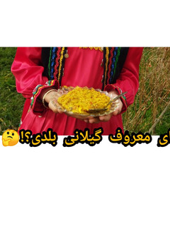 عکسی از دستور میرزا قاسمی دست پخت مهسا🤩