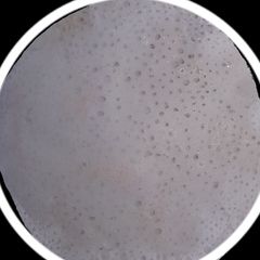 A picture of Rice pancake.