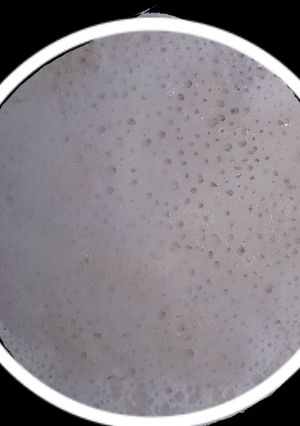 A picture of Rice pancake.