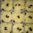 Pudding roti panggang #Sarapanku #cookpadcommunity_Bekasi