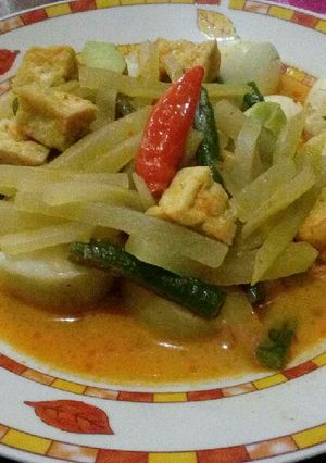 Foto resep Lontong Sayur #14