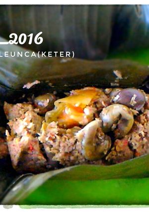 Foto resep Botok Leunca (Keter namanya klu di daerah saya)