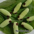 Caterpillar Cookie (Kue Ulat)