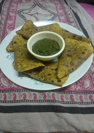 લીલું લસણ અને કોથમીર ના થેપલા (Green Garlic Coriander Thepla Recipe In Gujarati)☺️ રેસીપી મુખ્ય ફોટો