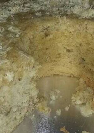 Foto resep Bolu Pisang Ekonomis