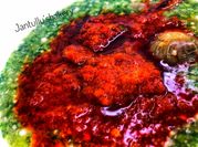 A picture of okro and stew