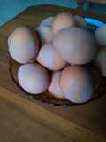 Telur asin ayam