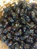 Aceitunas negras aliñadas con hierbas de la huerta