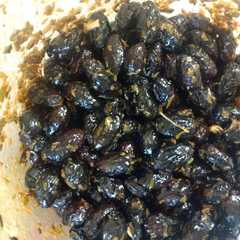 Una foto de Aceitunas negras aliñadas con hierbas de la huerta