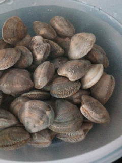 Una foto de Congelar almejas y se abran a la hora de cocinar