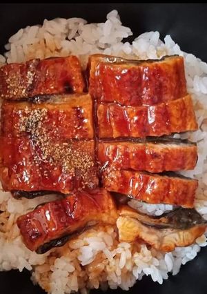 Hình của món UNAGI DONBURI (Cơm lươn nướng).
