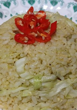 Foto resep Nasi Goreng Opor Ayam