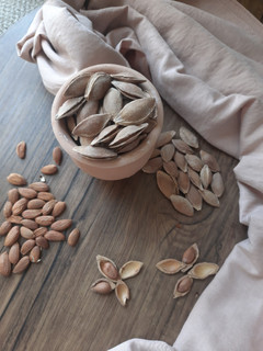 عکسی از دستور شور هسته زردآلو