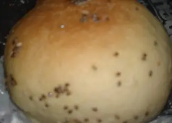 Masakan Unik Burger Bun Sedap Nikmat