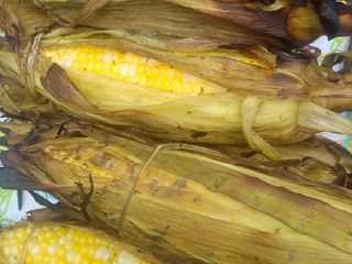 Memorial Day Grilled Corn on the cobb