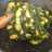 Aloo Methi