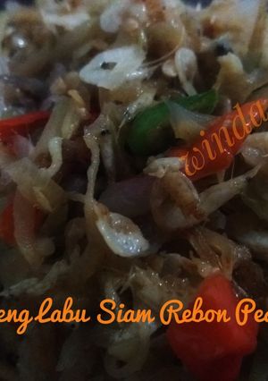 Foto resep Oseng labu siam rebon pedas