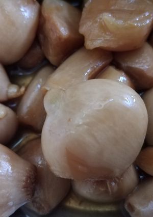 عکسی از دستور ترشی سیر یکساله