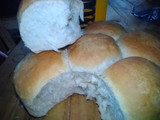 Pan para hamburguesa / panchos