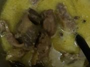Gambar opor daging bebek