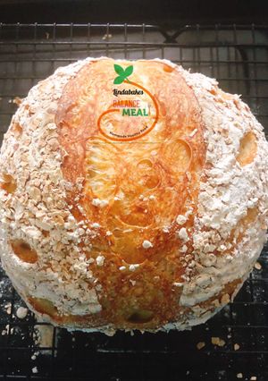 A picture of Basic Sourdough Bread.