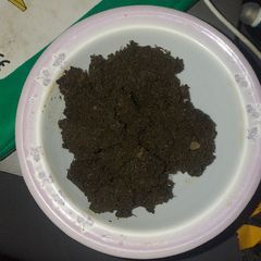 A picture of Bhuni hoi green coriander chutney.