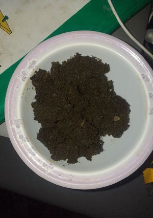 A picture of Bhuni hoi green coriander chutney.
