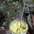Alpukat kocok