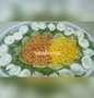 Simple Way Make Recipe Salad that is Really Delicious, Tasty}