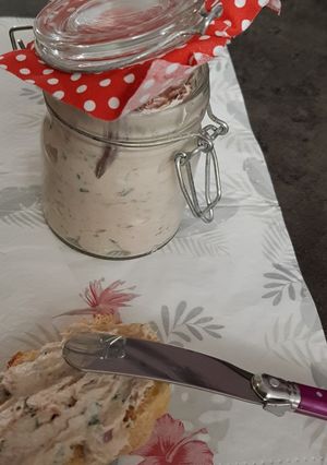 Une photo de Rillettes au thon et mascarpone