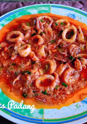 Foto resep Cumi Saos Padang 🦑🦑