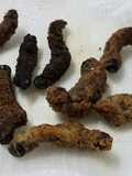 Fried mopane worm