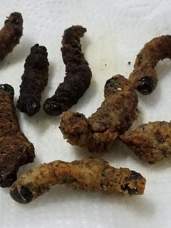 A picture of Fried mopane worm.