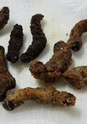 A picture of Fried mopane worm.