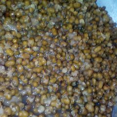 A picture of Sprout green grams.