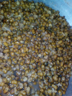 A picture of Sprout green grams.