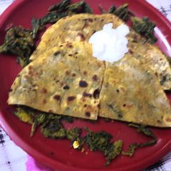 A picture of Leftover bitter gourd peels Parantha.
