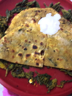A picture of Leftover bitter gourd peels Parantha.