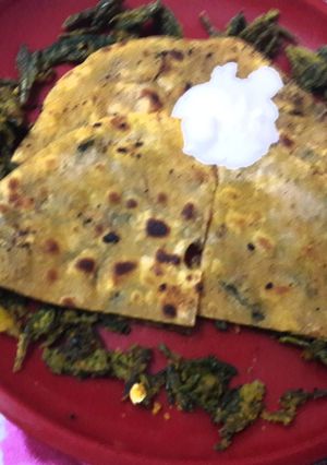A picture of Leftover bitter gourd peels Parantha.