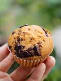 Mini Muffin - Vanilla