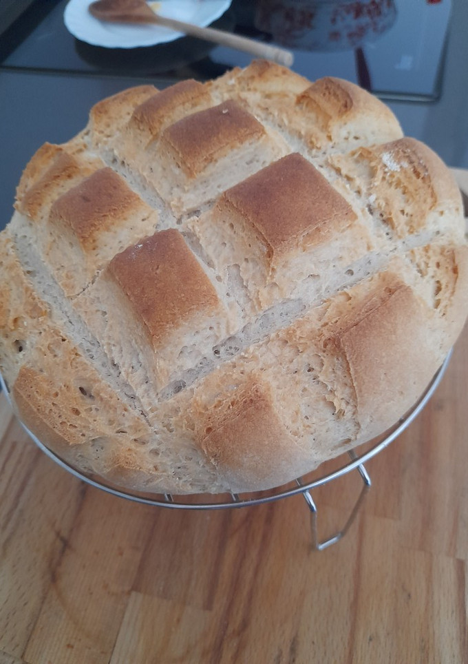Una foto de Pan común en Mambo