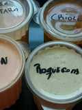 Salsas untables